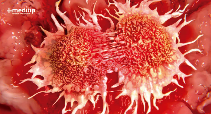 Recurrencia del cáncer: división de células cancerosas